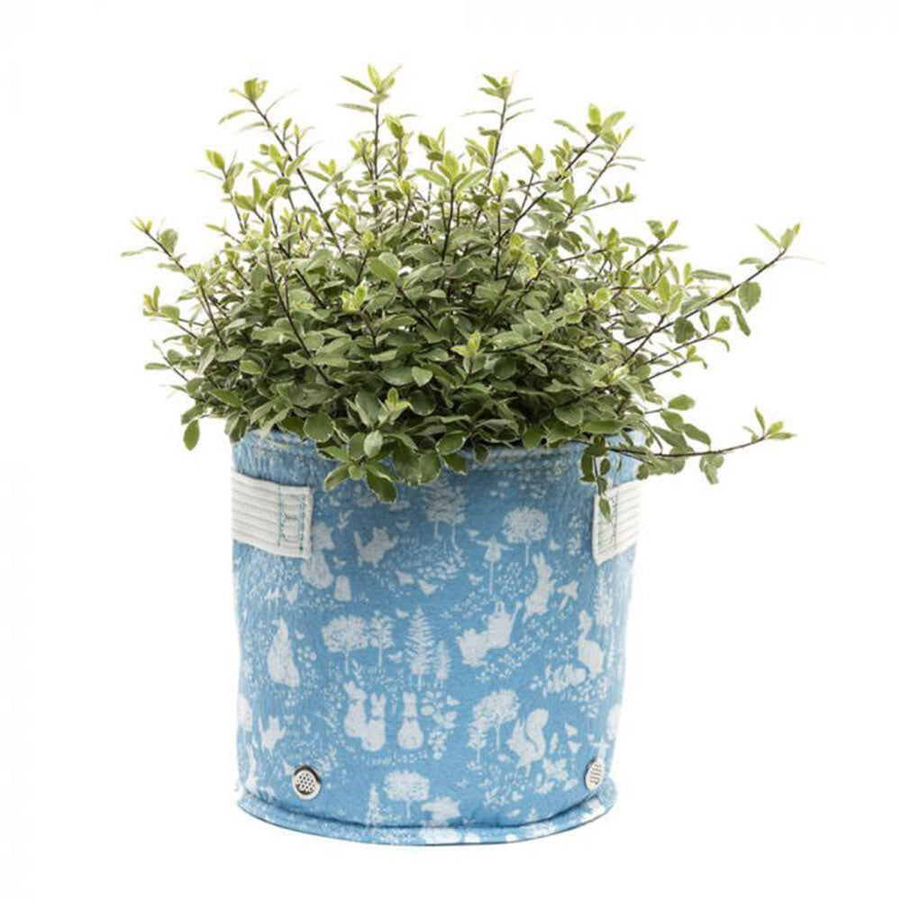 Beatrix Potter Fabric Eco-Pot (azul)