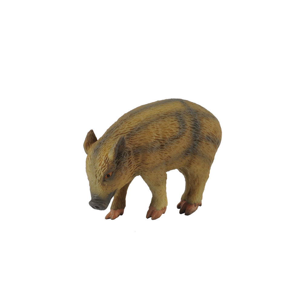 Collecta Wild Pigletフィギュア(小)