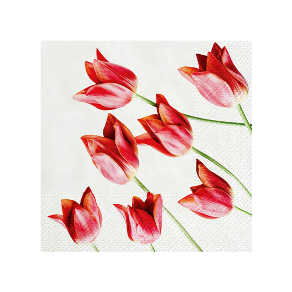 ポーランチナプキン33cm(20pk)