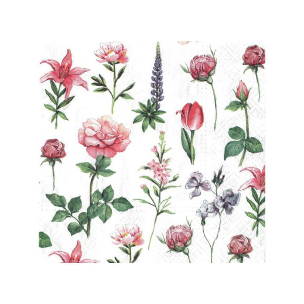 ポーランチナプキン33cm(20pk)