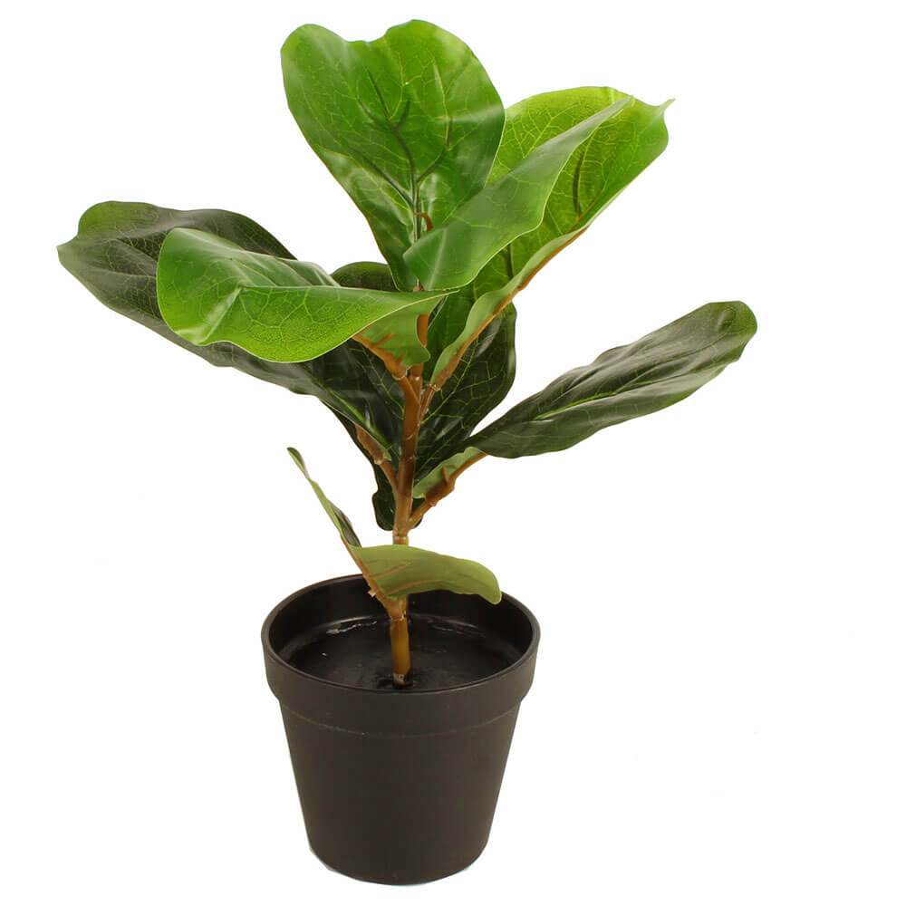 Potted faux fiddle blad