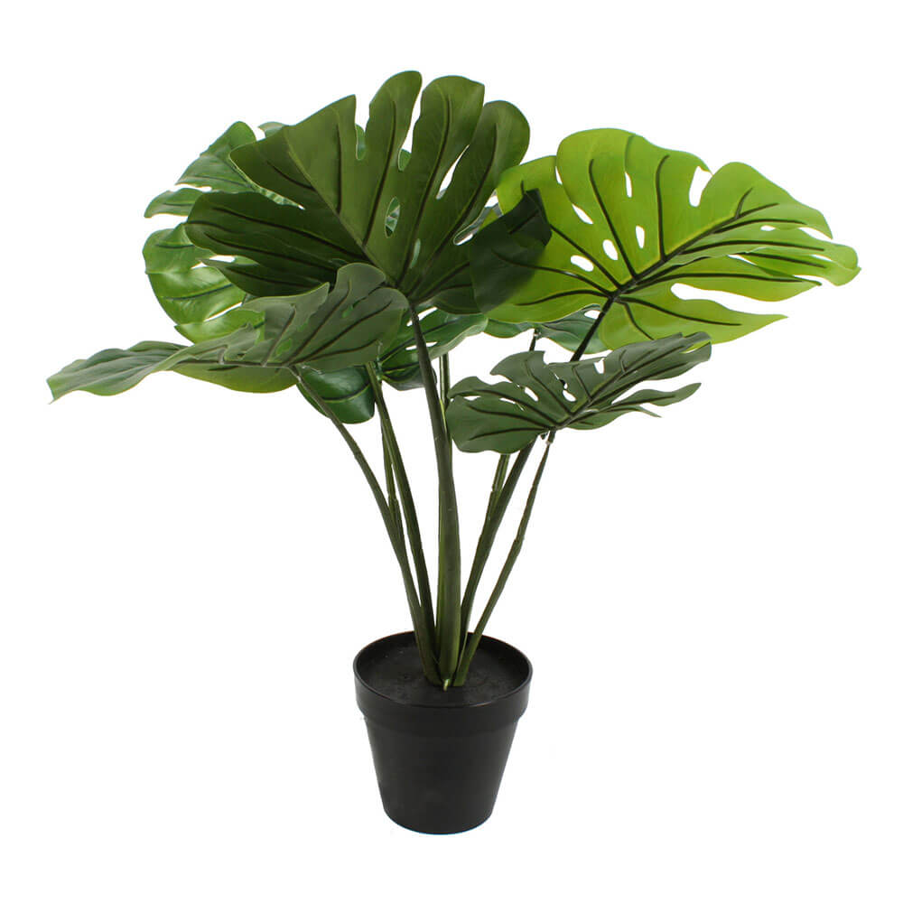 Planta no pote 60 cm