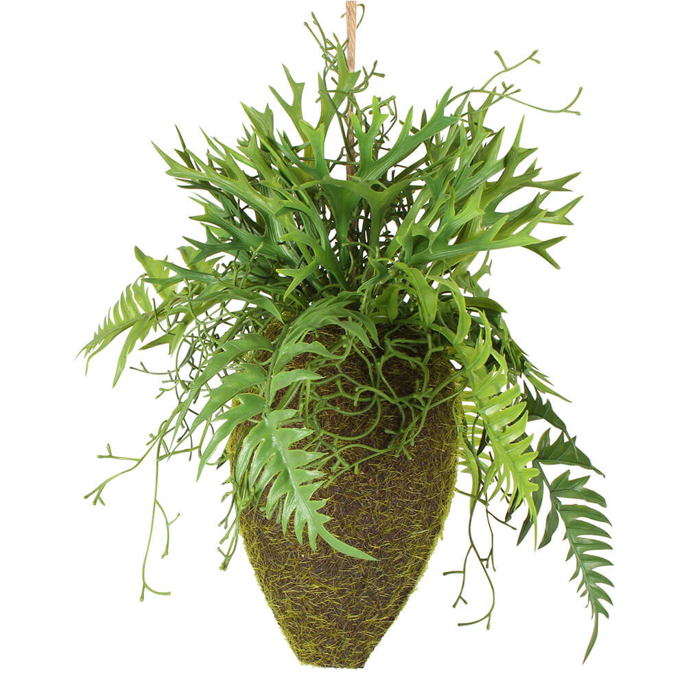 Moana kokedama mixte suspendu