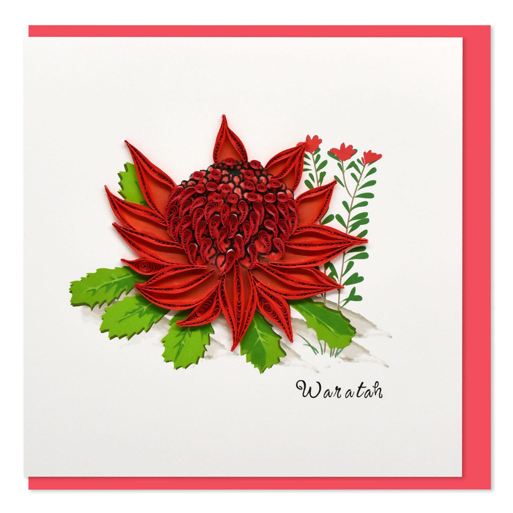 Quilled Waratah Flower Greeting Card (15x15cm)