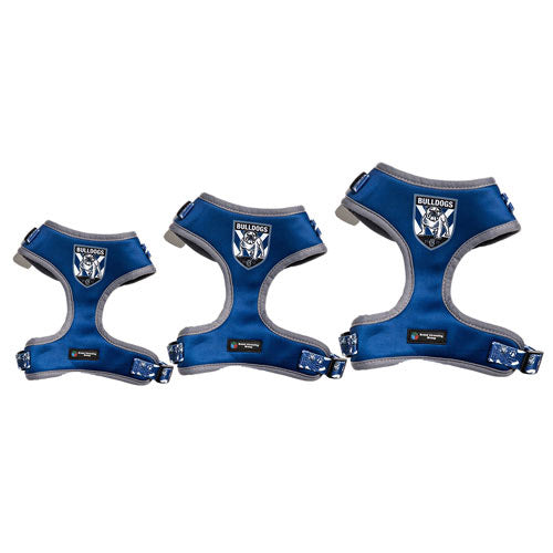 NRL Canterbury Bulldogs Pet Harness