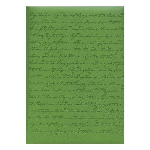 Pierre Belvedere Script Large Notebook