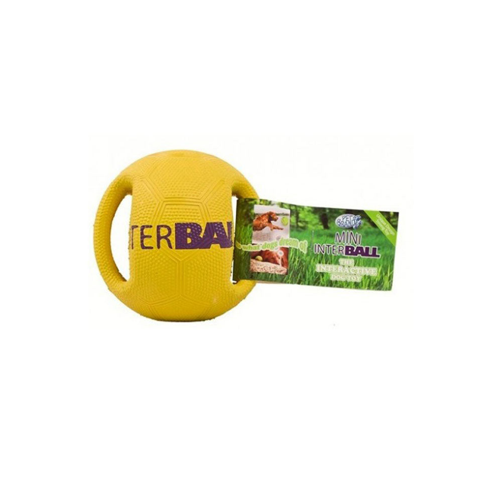 Pet Brands Interball Interactive Dog Toy