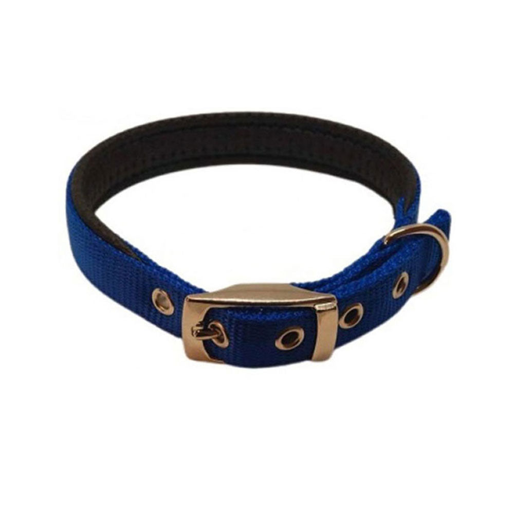 Nylon Padded Collar (Blue)