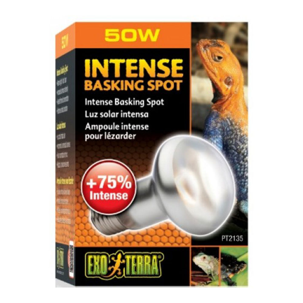 EXO TERRA Intense Basking Spot Lamp