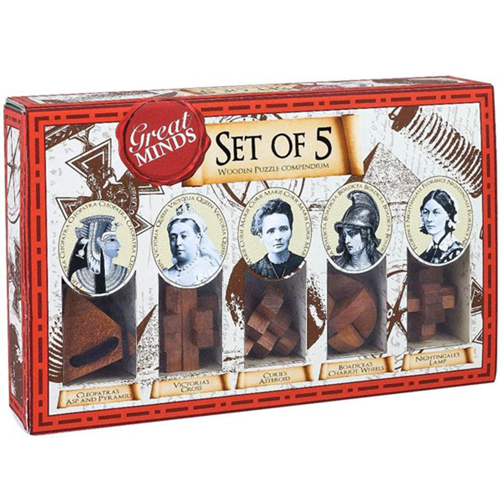 Great Minds Wood & Metal Brainterer Puzzle 5pcs