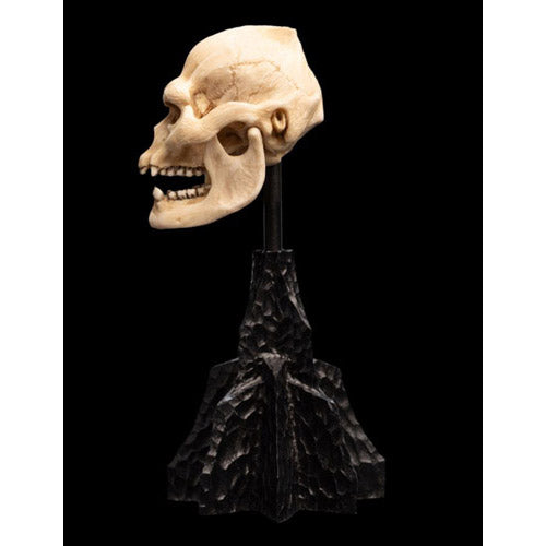 The Lord of the Rings Skull of Lurtz Miniature