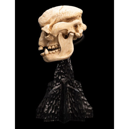 The Lord of the Rings Skull of a Cave Troll Miniature