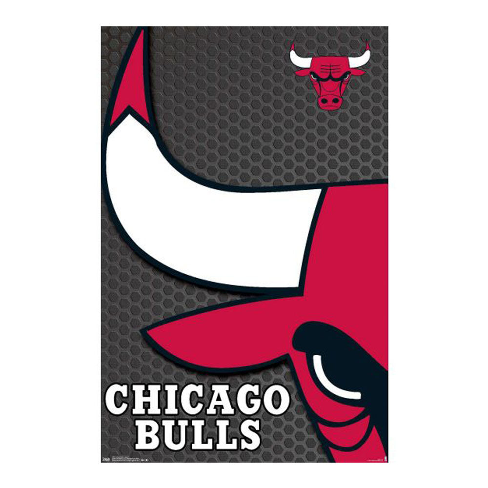 Plakat NBA Chicago Bulls