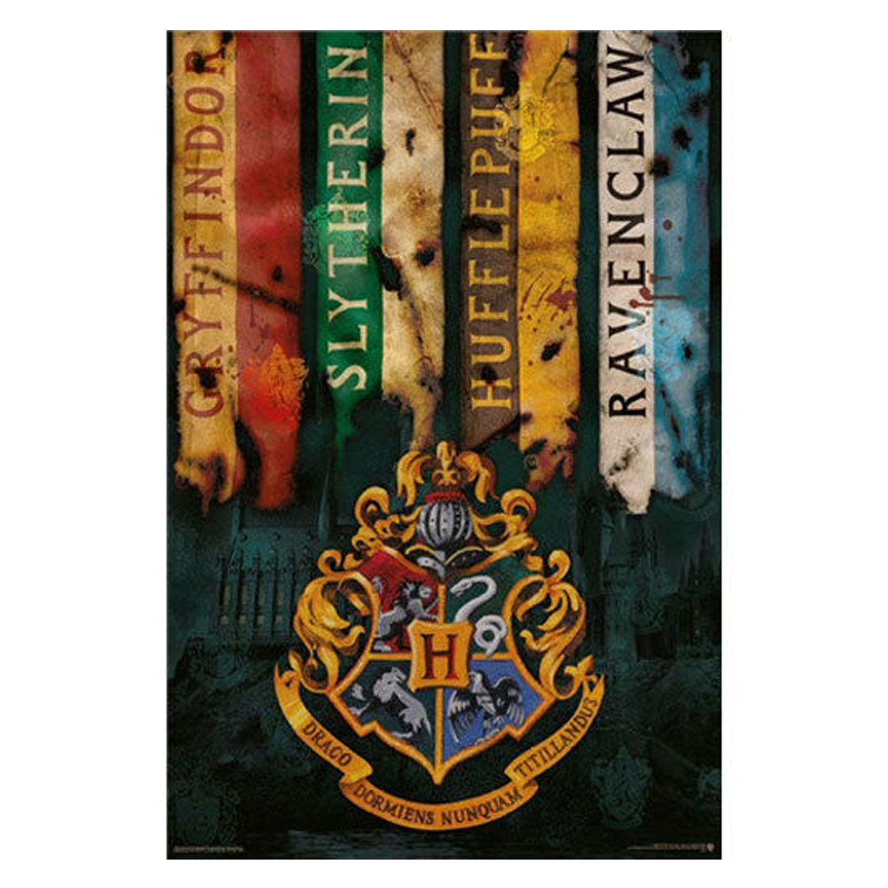 Plakat Harry Potter