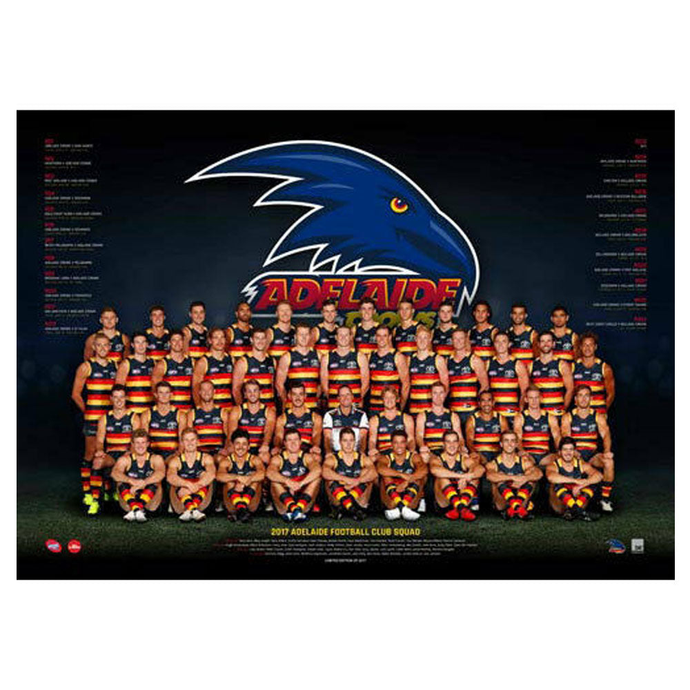 AFL 2017 Team Poster