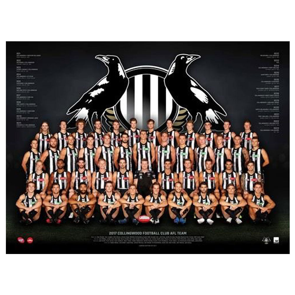 Póster del equipo AFL 2017