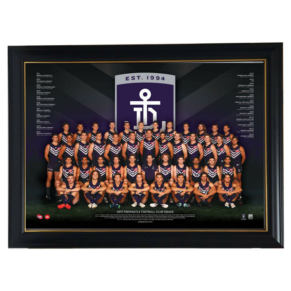 Pôster da equipe da AFL 2017