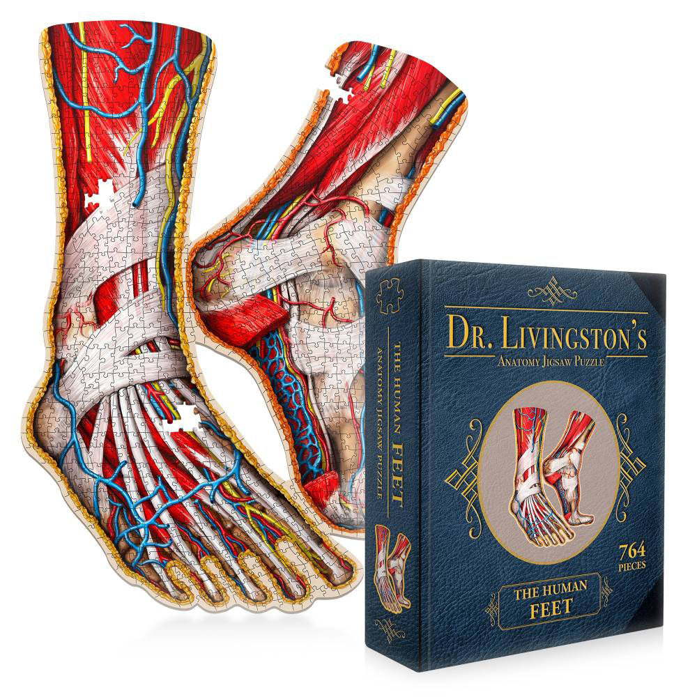 Dr. Livingstons Anatomy Jigsaw Puzzle