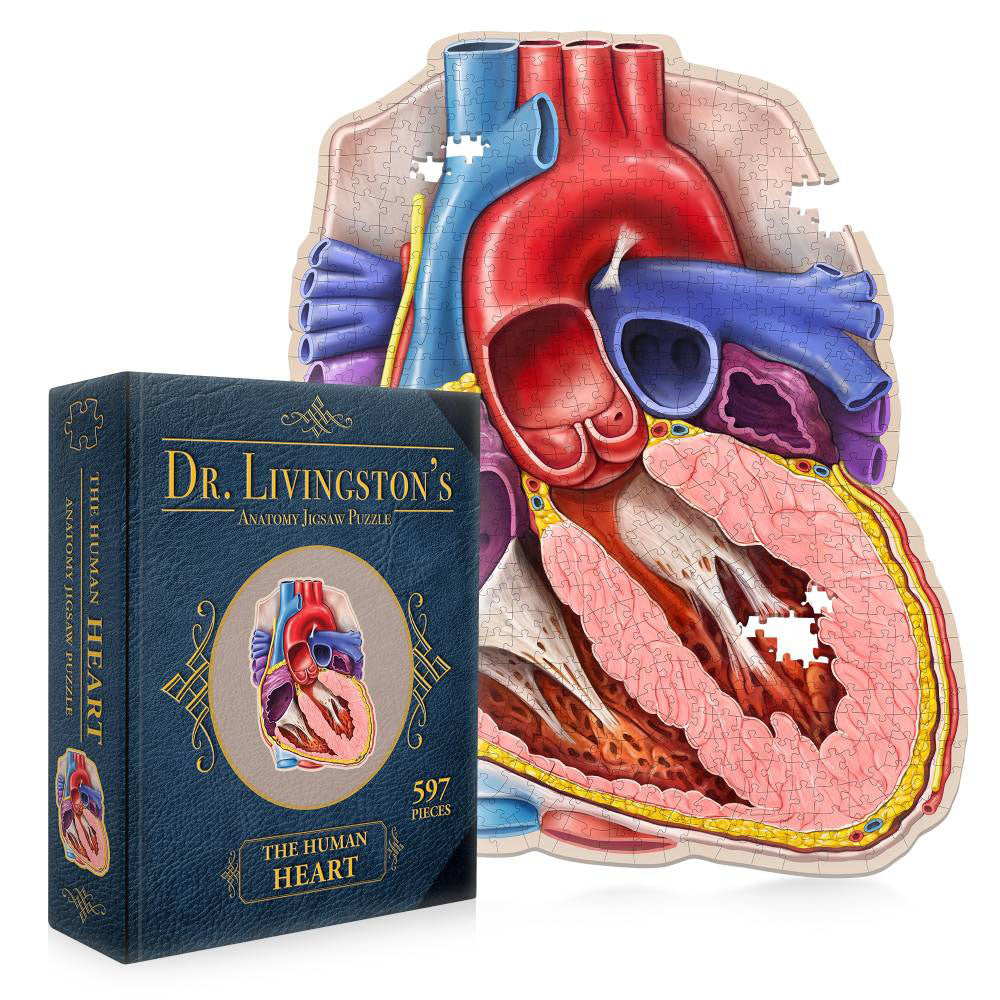 Dr. Livingstons Anatomy Jigsaw Puzzle