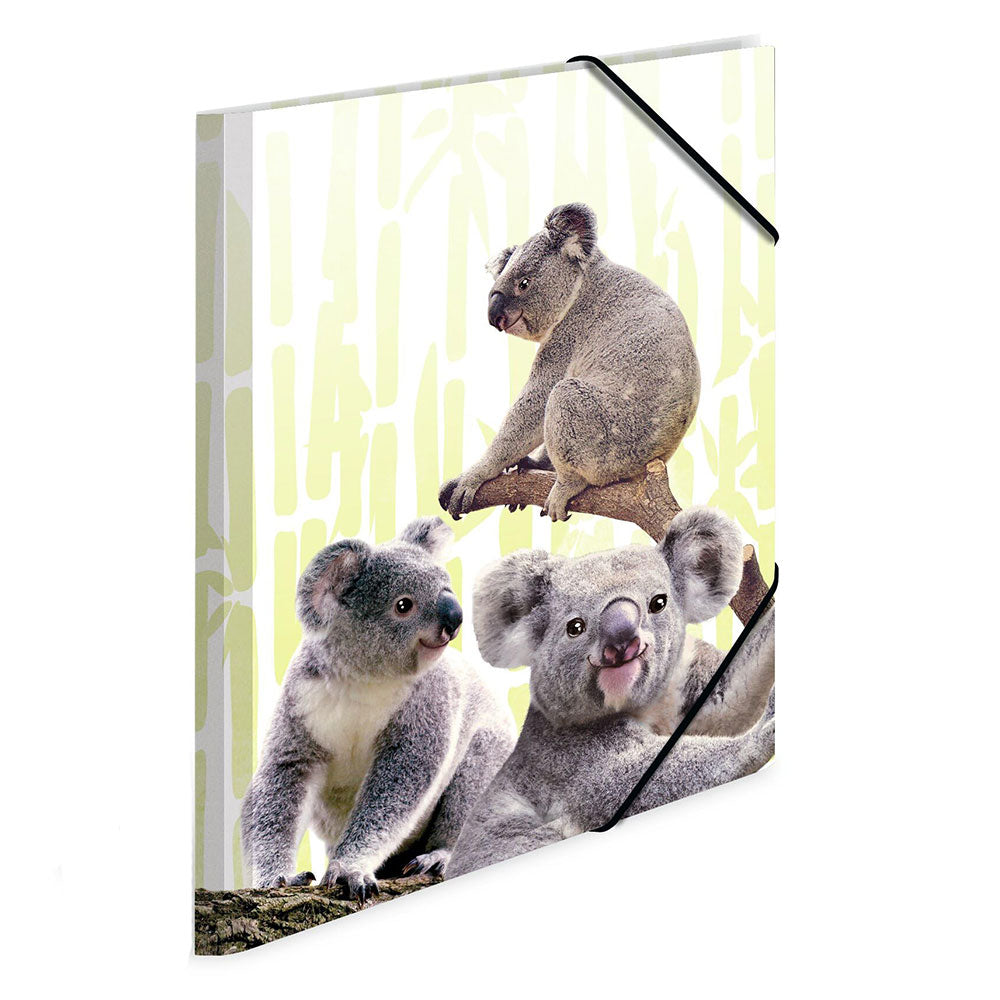 Herma elastyczna folder PP Koala Family