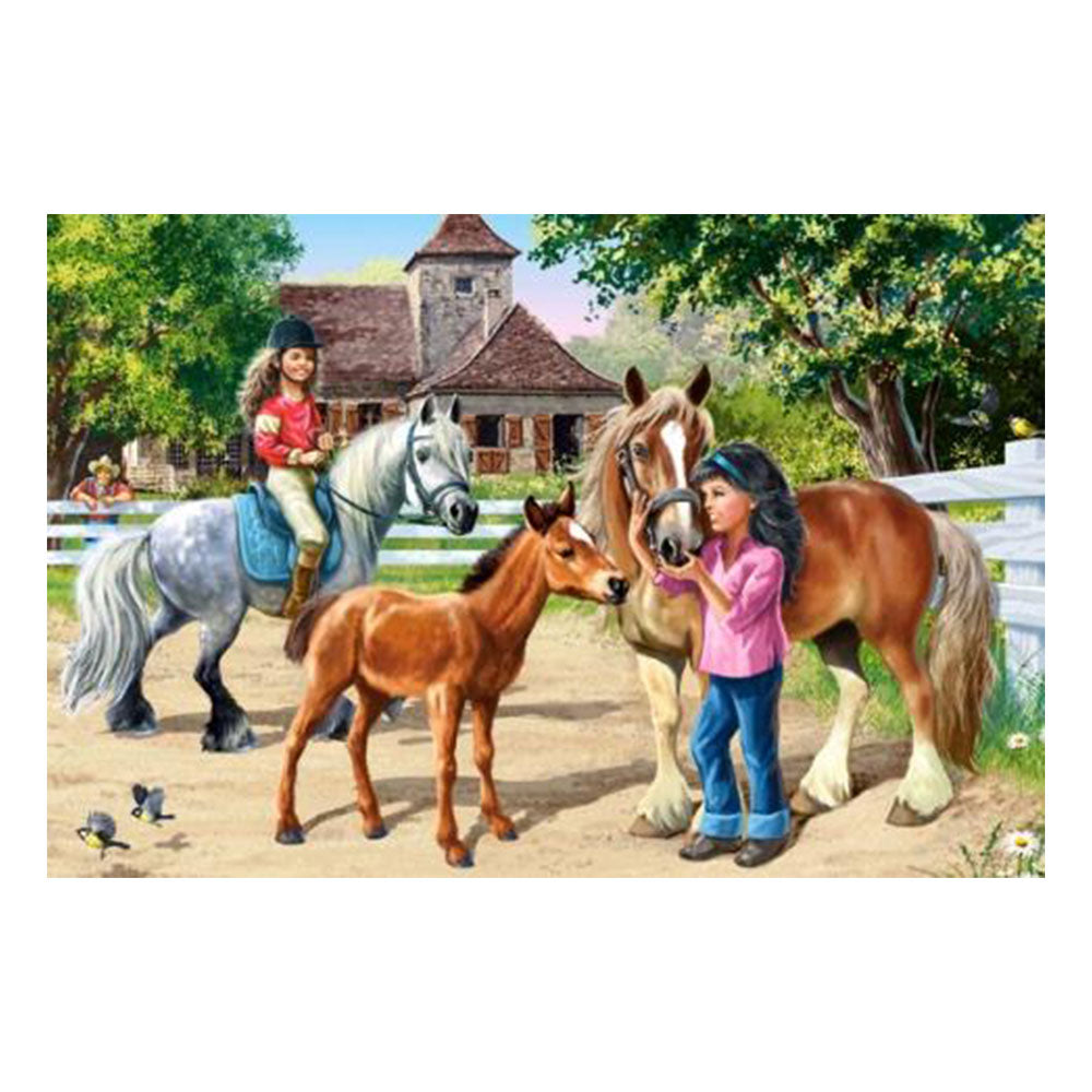 Castorland Classic Jigsaw Puzzle 70st