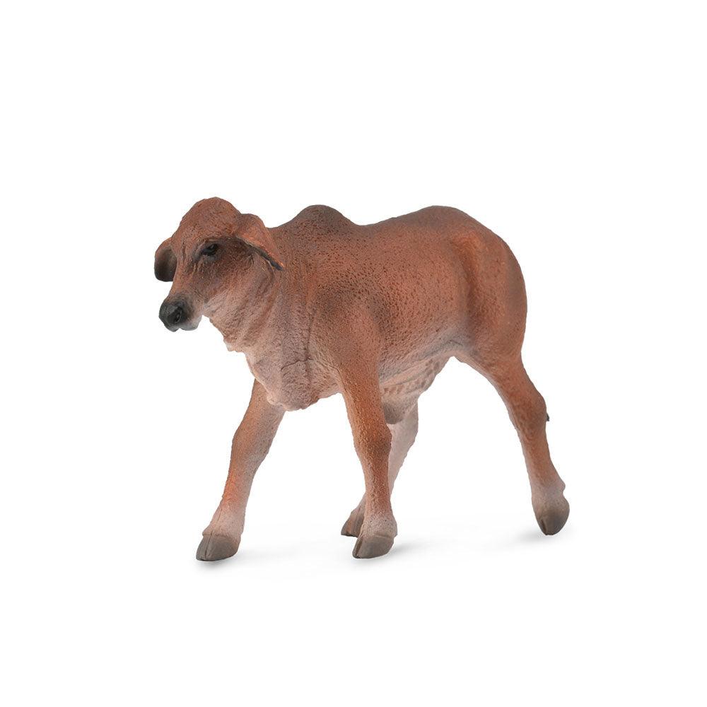 CollectA Brahman Calf Figure (Small)