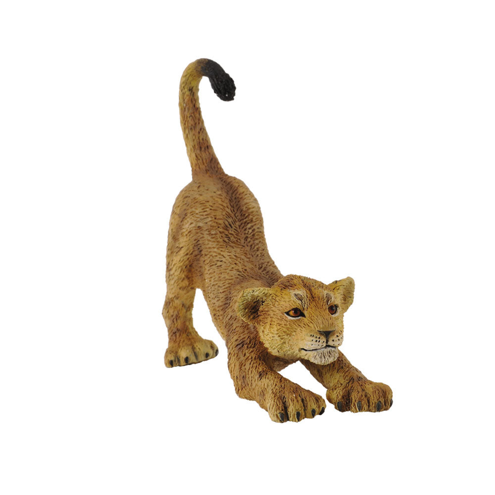 Figura Collecta Lion Cub (mała)