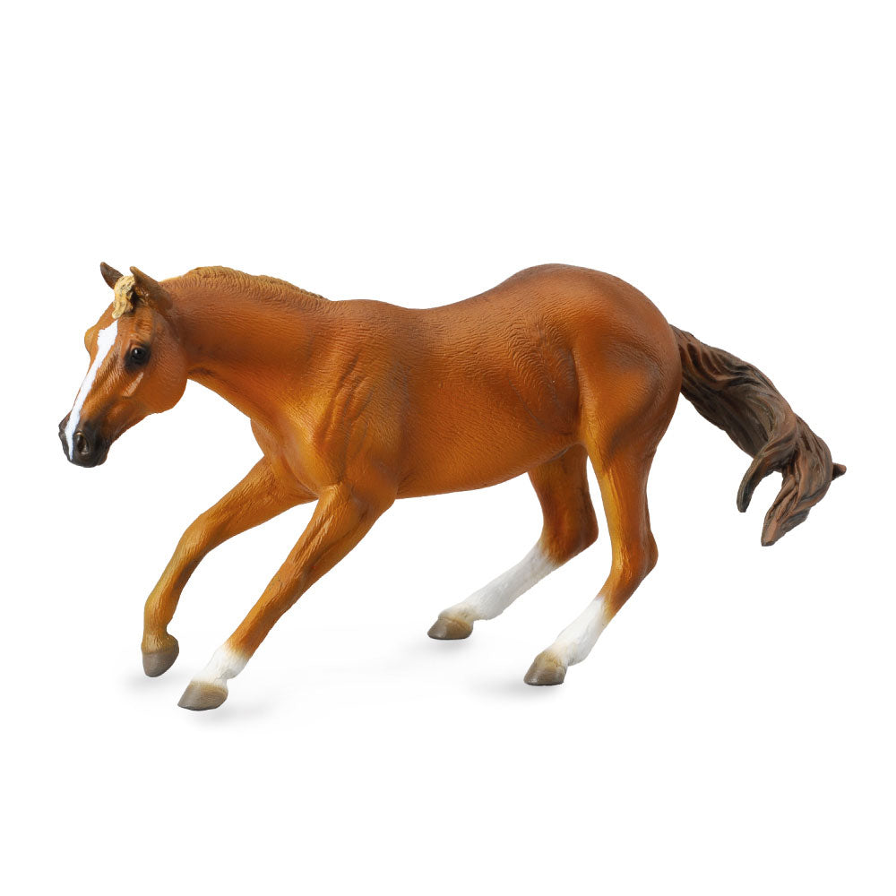 CollectA Quarter Stallion Figur (extra groß)