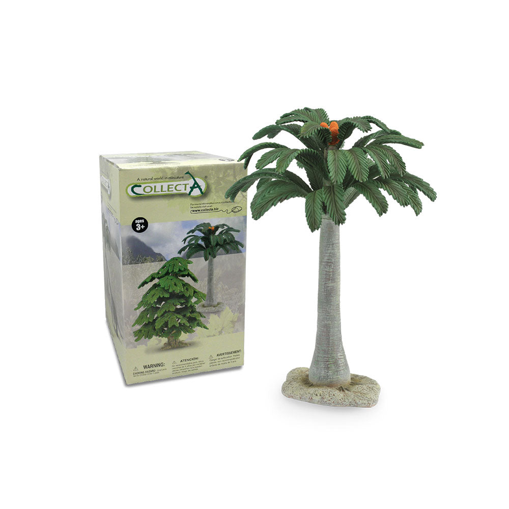 Figura drzewa Colecta Cycad