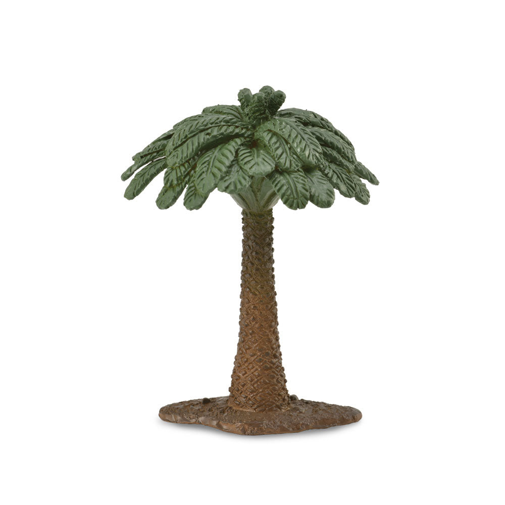 Figura drzewa Colecta Cycad