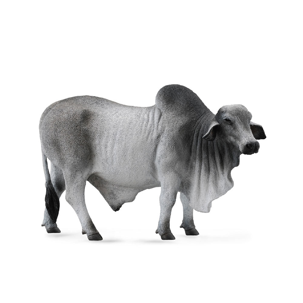 COCOLLA BRAHMAN BULL FIGUR (stor)