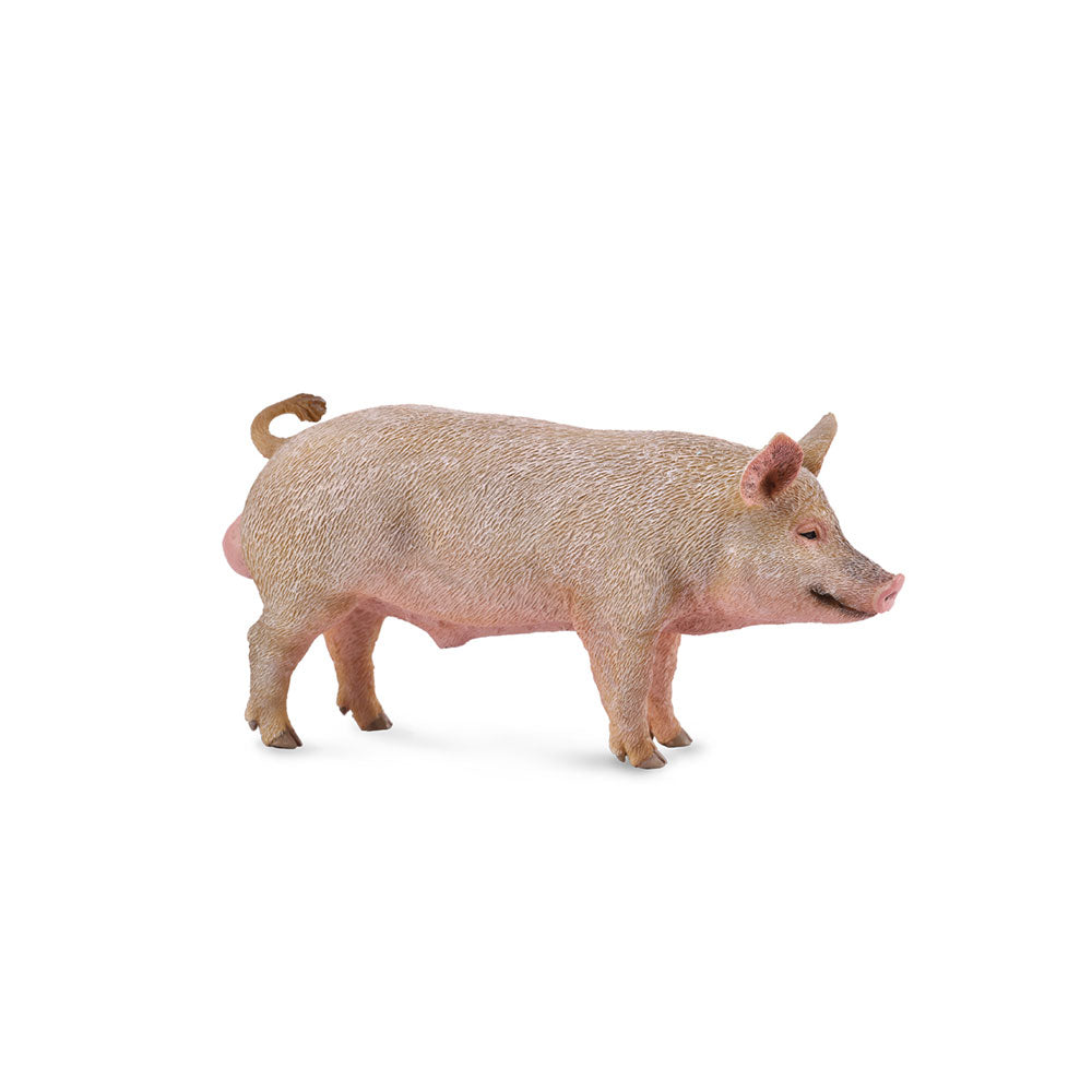 Figura de Collecta Pig (medio)