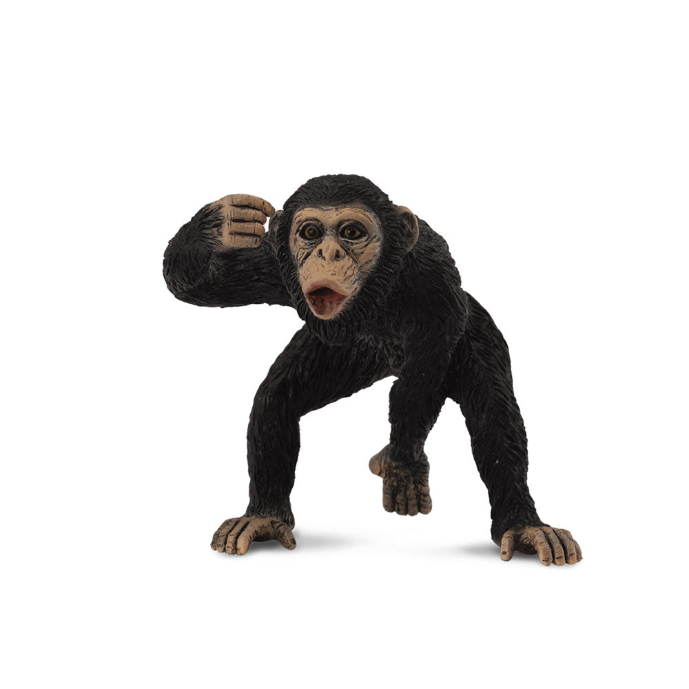 collecta chimpanzeeフィギュア（中程度）