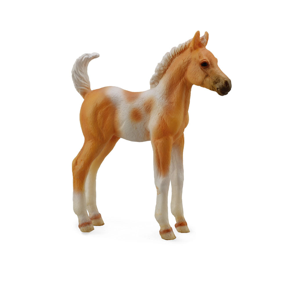 Figura palomino del puledro da collezione pinto (mezzo)