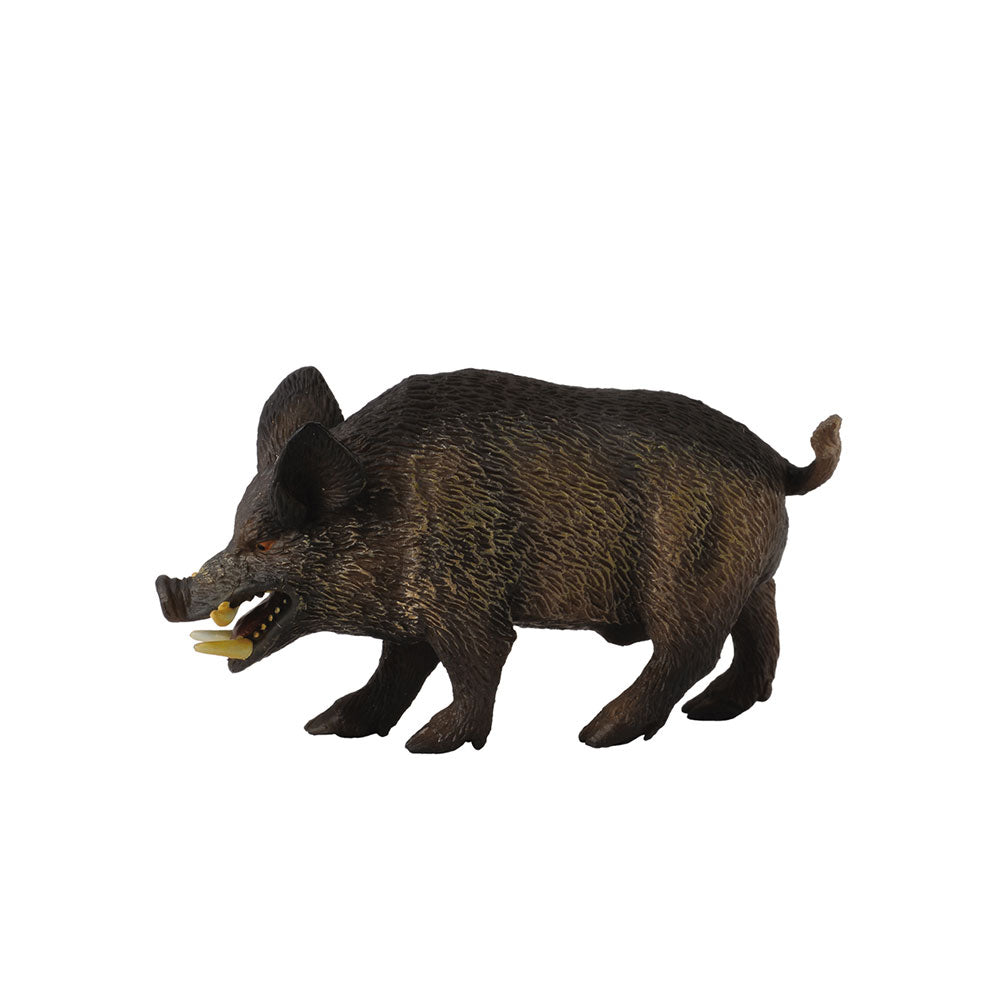 Collecta Wild Pig Figure (Medium)