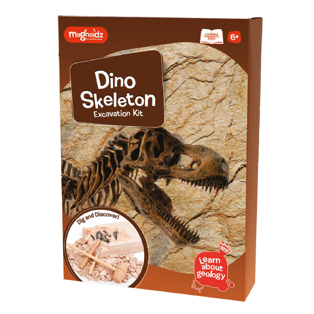 Keycraft Dino Skeleton Excavation Kit