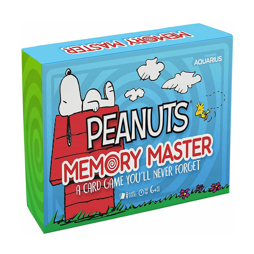 Waterman Memory Master Card Game