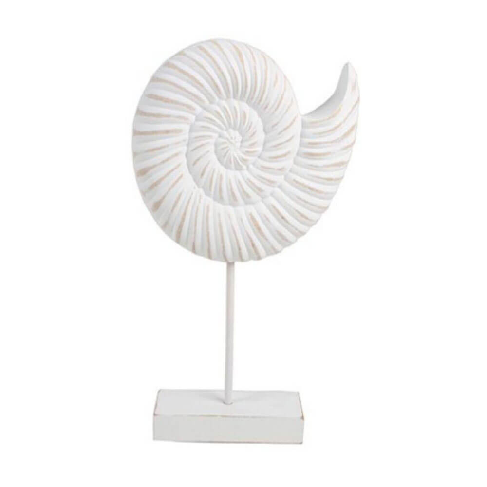 7 Seas Conch Wood Shell en Stand