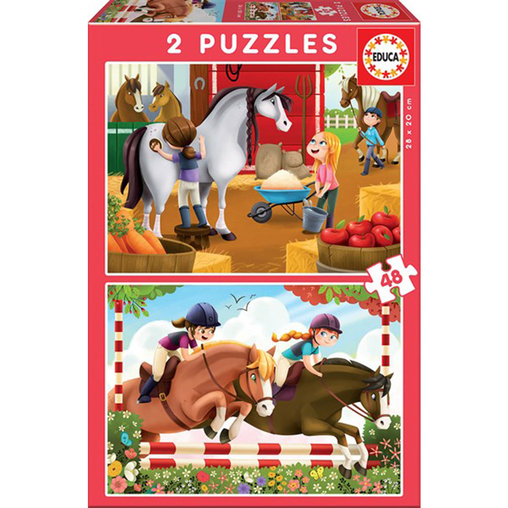 48pcsのEduca Puzzle Collection 2セット