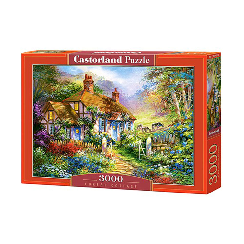 Castorland Classic Puzzle 3000st