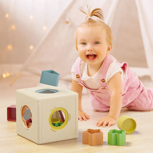 Quercetti Play Bio Kubo Shape Sorter