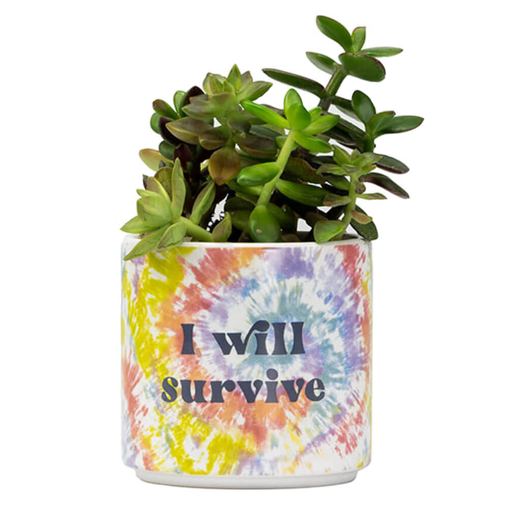 Tie Dye Planter (pequeno)