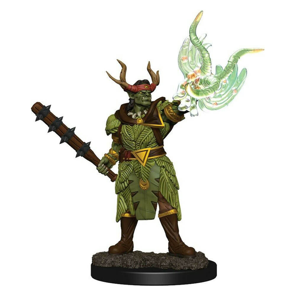  Pathfinder Battles Premium bemalte Figur