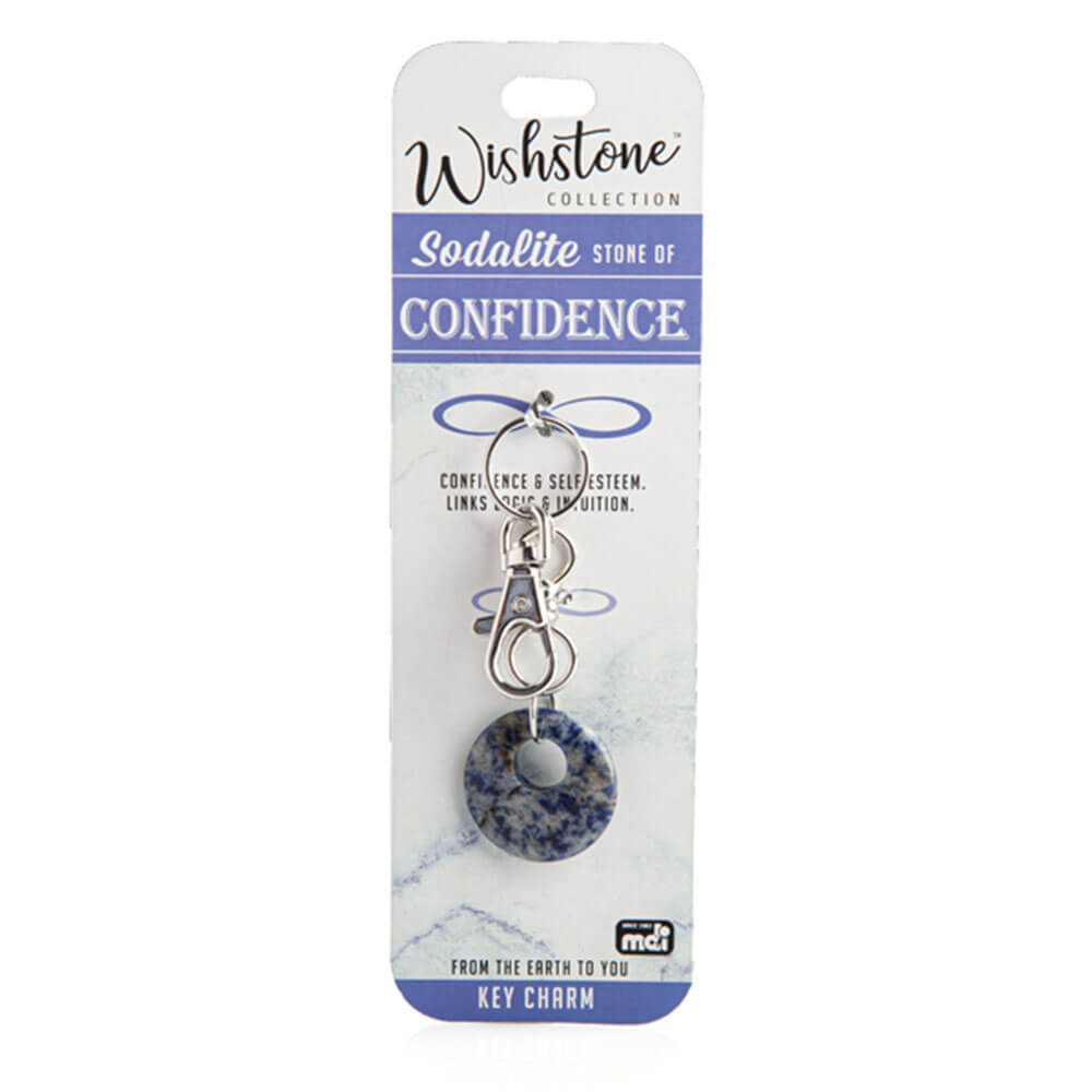 Wishstone Collection Sodalite Key Charm