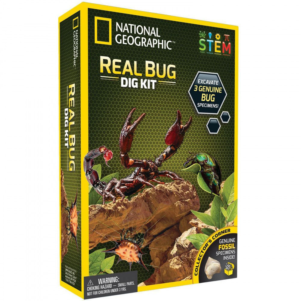 Real Bug Dig Kit