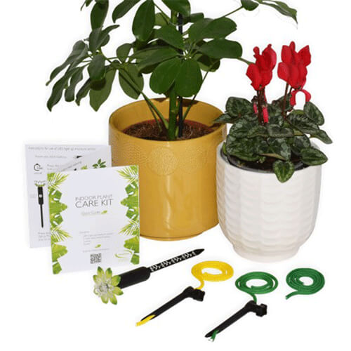 Mayhem UK Plant Care Kit